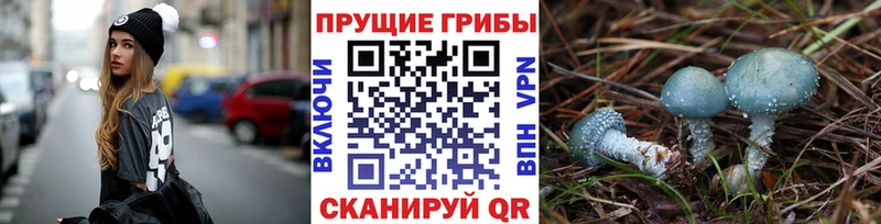 Галлюциногенные грибы MAGIC MUSHROOMS  Купить  Фурманов 